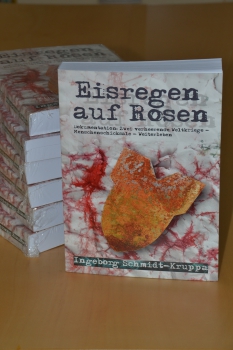 Eisregen auf Rosen